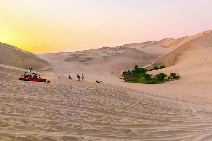Nazca Lines Flight and Huacachina Dune Buggy Adventure from Ica photo 5