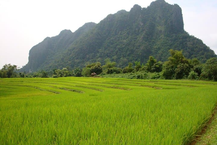 Da Lat to Mui Ne: VIP Private Transfer with Cultural Stops and Sand Dunes photo 3