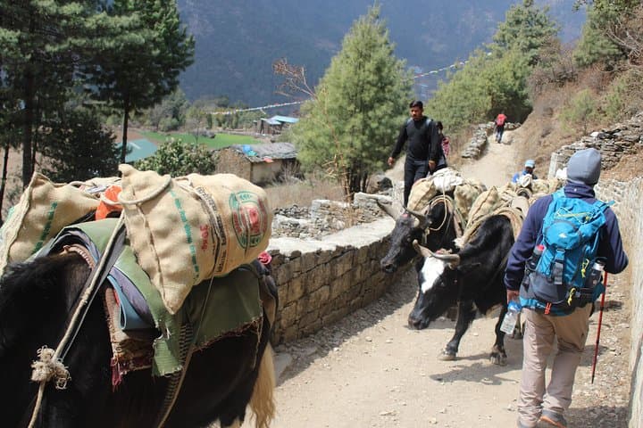 Ama Dablam Base Camp Trek: 13-Day High-Altitude Trek from Kathmandu to Pangboche photo 5