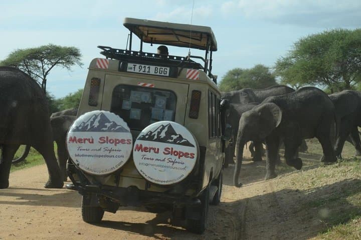 4-Day Tarangire, Serengeti & Ngorongoro Safari from Arusha photo 3