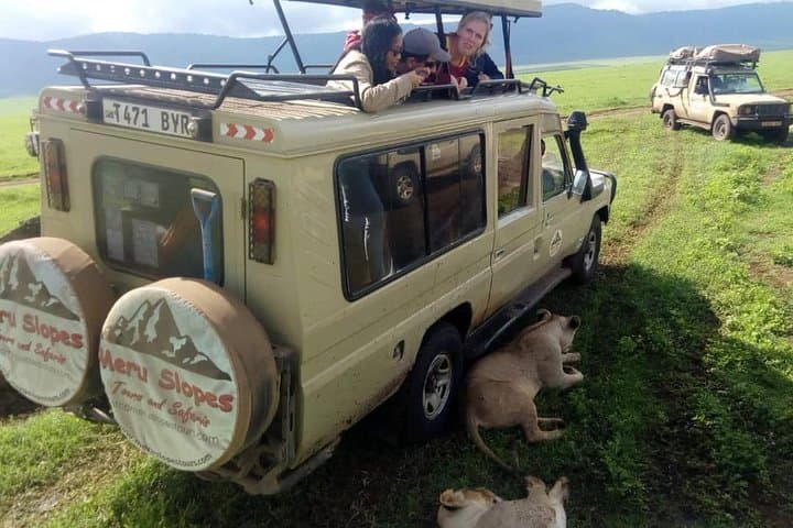 4-Day Tarangire, Serengeti & Ngorongoro Safari from Arusha photo 4