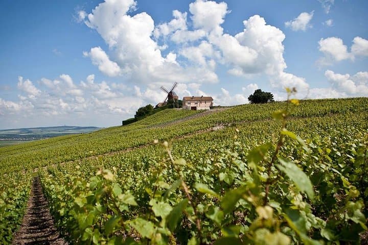 Private Champagne Transfer: Épernay & Reims Day Trip from Paris photo 3