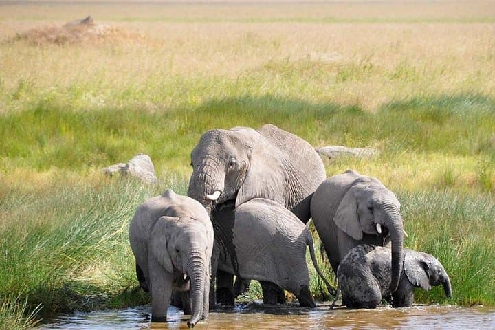 3-Day Tarangire, Ngorongoro & Lake Manyara Safari — Northern Tanzania Wildlife Circuit photo 2