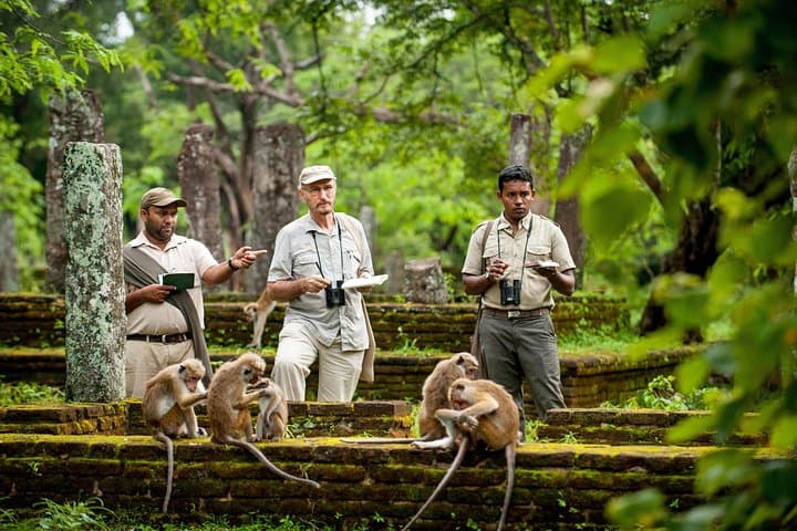 Ritigala & Minneriya Safari Day Trip: Ancient Monastery Ruins and Elephant Herds photo 6