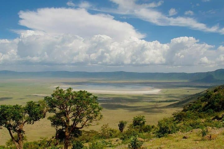 One-Day Ngorongoro Crater Safari: Game Drive from Arusha