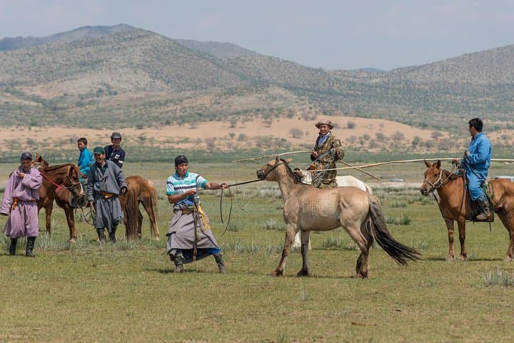 Essence of Mongolia: 5-Day Ger Stays, Kharkhorum & Hustai Wild Horses photo 6