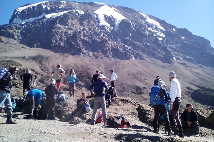 7-Day Lemosho Route Climb of Kilimanjaro — Summit via the Western Approach