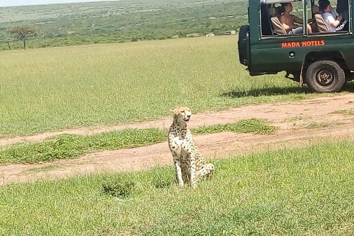 Lake Nakuru Day Safari: Flamingos, Rhinos & Rift Valley Views from Nairobi photo 3