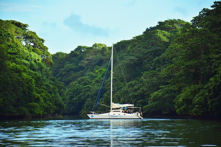 Full-Day Shared Catamaran Cruise to Ile aux Cerfs from Trou d'Eau Douce