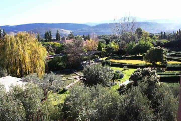 Ourika Garden Guided Day Trip from Marrakech — Aromatic Herbs & Atlas Valley Walk photo 6