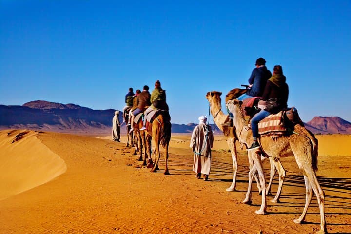 Camel Ride in Marrakech's Palmeraie: Palm Grove Camel Tour & Mint Tea Experience photo 4