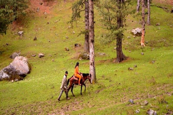 Srinagar to Pahalgam Private Day Tour — Explore Aru, Betaab Valley & Chandanwari photo 5