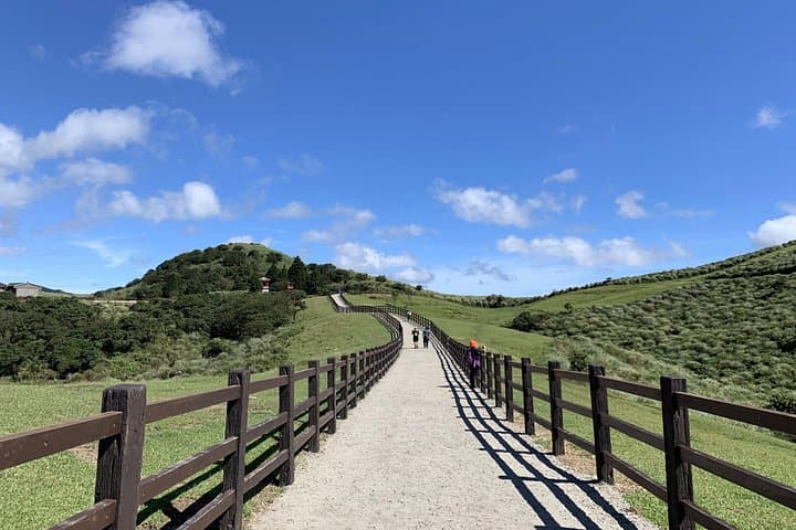Half-Day Private Tour to Yangmingshan & Yehliu Geopark — Qingtiangang, Xiaoyoukeng, Queen's Head photo 1