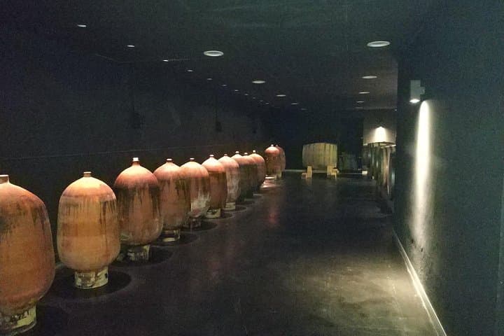 Private Penedès Wine & Cava Tasting Tour from Barcelona (Hotel Pickup) photo 3