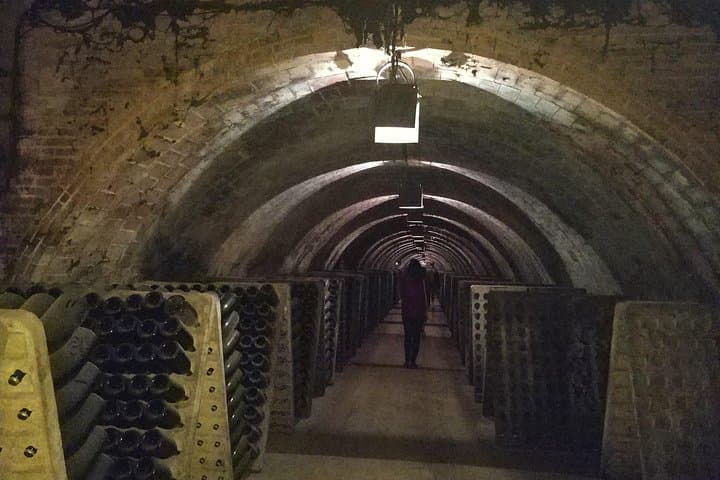 Private Penedès Wine & Cava Tasting Tour from Barcelona (Hotel Pickup) photo 5