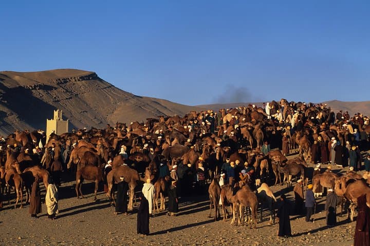Private Day Tour: Atlas Mountains & Four Valleys from Marrakech photo 6