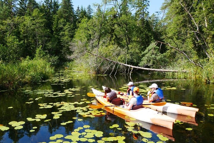 Paddling Sventoji River: Mini Kayak Trip through Gražutės Regional Park photo 2