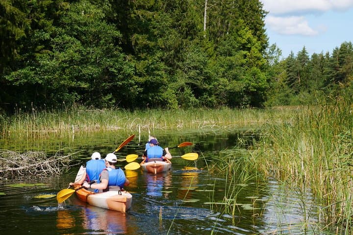 Paddling Sventoji River: Mini Kayak Trip through Gražutės Regional Park photo 3