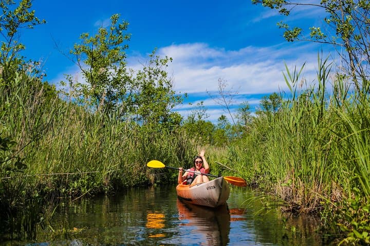 Paddling Sventoji River: Mini Kayak Trip through Gražutės Regional Park photo 6