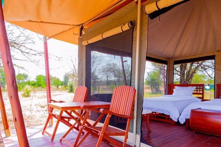 6-Day Northern Tanzania Safari and Culture: Tarangire, Serengeti, Ngorongoro & Lake Eyasi photo 6
