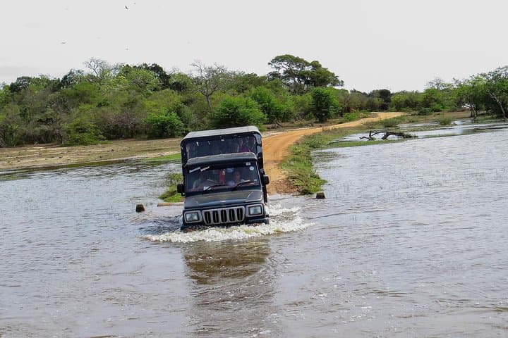 Kumana National Park Private Safari — Birding & Wildlife Drive in Sri Lanka's East photo 2