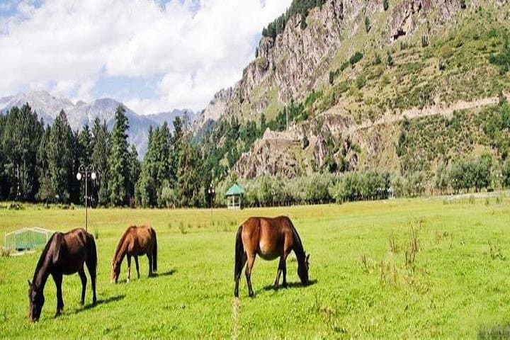 Srinagar to Pahalgam Private Day Tour — Explore Aru, Betaab Valley & Chandanwari photo 4