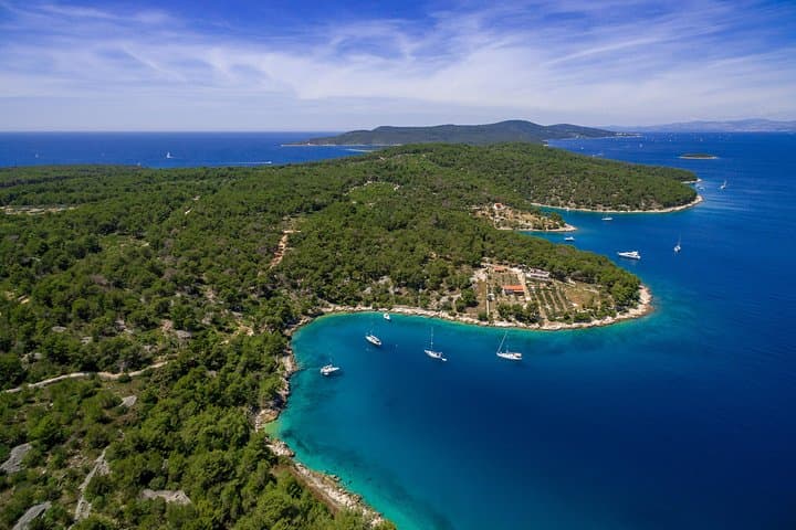 Explore Brač's West Coast Aboard a Traditional Pasara Boat photo 4