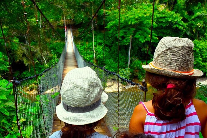 Family Jungle Tour: 4-Hour Orangutan Trek in Bukit Lawang photo 2