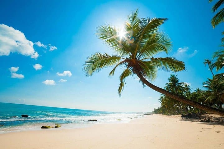 Classic Kenya-Tanzania-Zanzibar Luxury Safari and Beach Itinerary photo 1