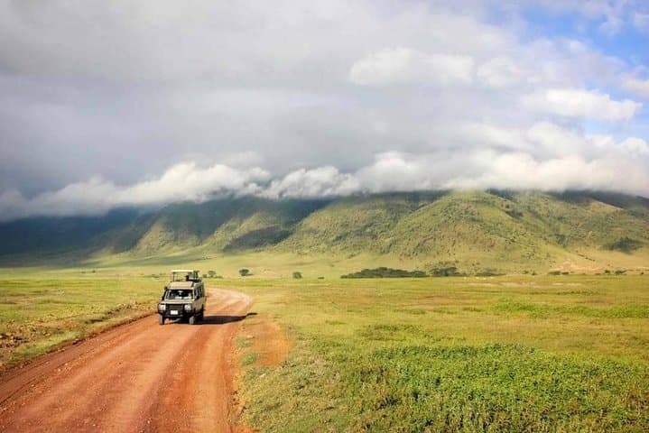 One-Day Ngorongoro Crater Safari: Game Drive from Arusha photo 5