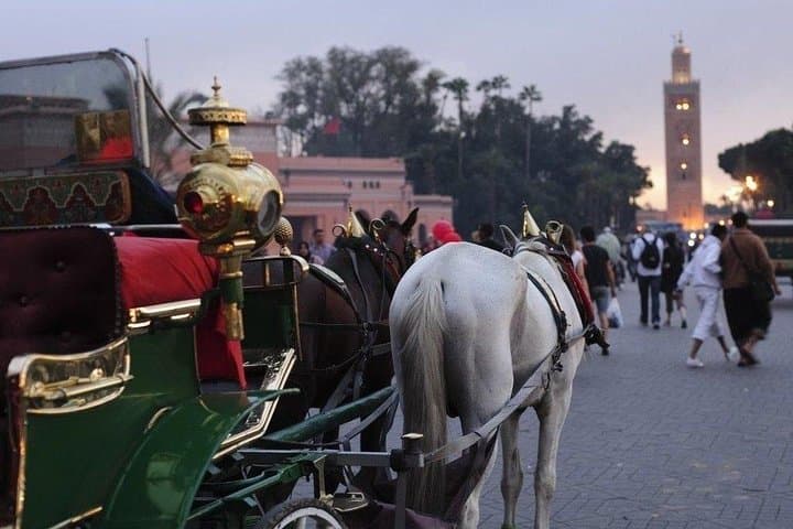 Marrakech Night Caleche Ride and Jemaa El-Fna Evening Stroll