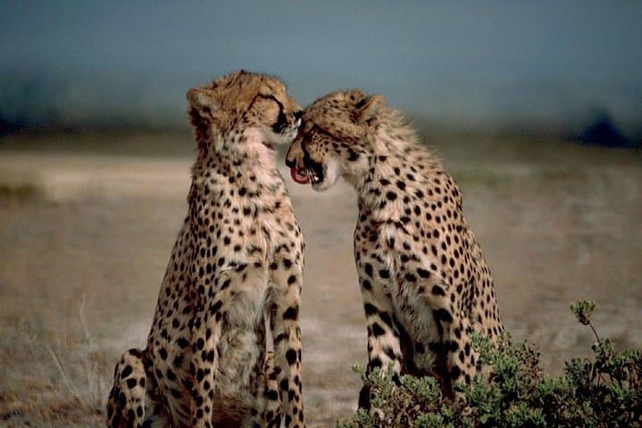 18-Day Namibia Safari: Wildlife, Landscapes & Cultural Journey from Windhoek photo 3