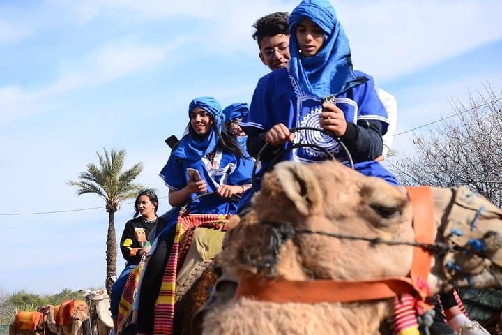 Sunset Camel Ride in the Marrakech Palmeraie — Palm Grove Dromedary Experience photo 5