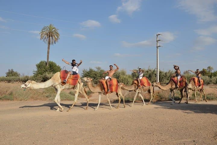 Sunset Camel Ride in the Marrakech Palmeraie — Palm Grove Dromedary Experience photo 4