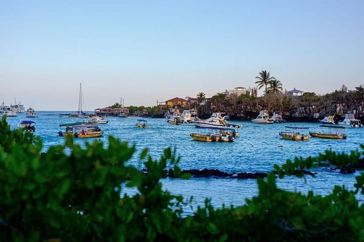 10-Day Galapagos Island-Hopping Expedition: Snorkel Kicker Rock & Hike Sierra Negra photo 4
