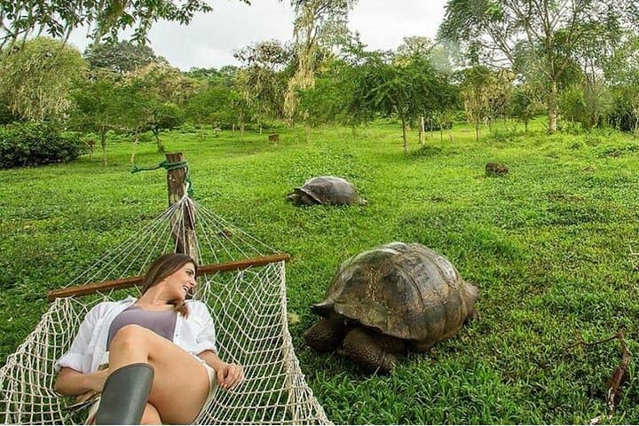 6-Day Galápagos Island-Hopping: Snorkel Los Túneles, Tortoises & Pinzón photo 3