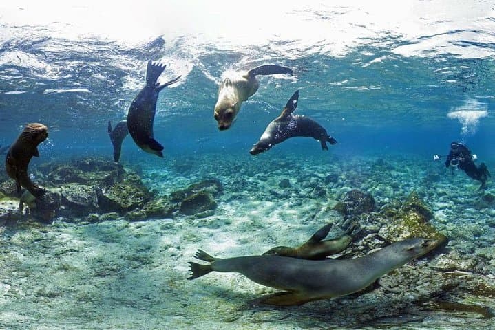 8-Day Galapagos on a Budget: Snorkel Kicker Rock, Swim with Sea Lions & Explore Isabela photo 3