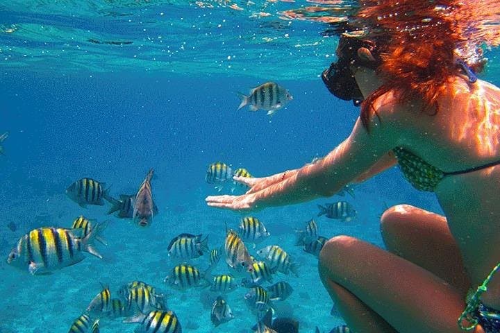 Snorkel Cozumel's El Cielo: Day Trip to Palancar, Colombia & Beach Lunch photo 5