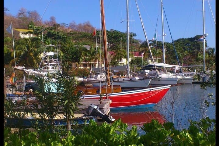 Private Fun Tour in Grenada — Rainforest Treks, Historic Forts, Rum & Chocolate photo 5