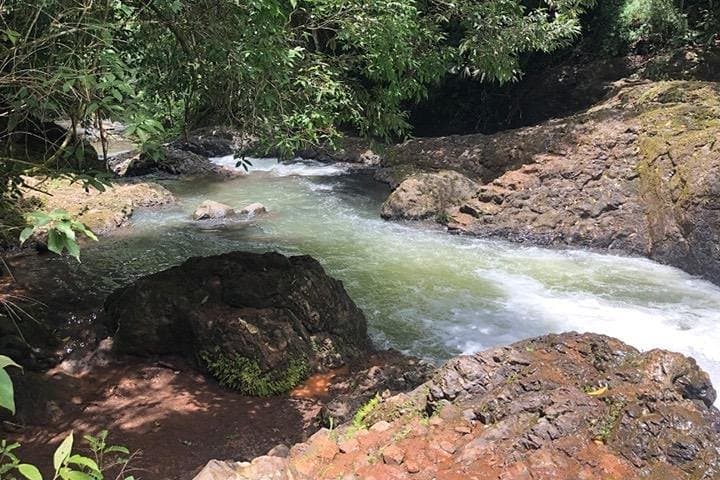 Off-Road Buggy Tour in Jaco — Rice Fields, Waterfalls & Pacific Ridge Views photo 4
