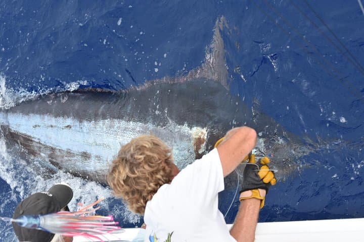 Kona 6-Hour Big-Game Fishing Charter aboard the Kona Cowboy photo 1