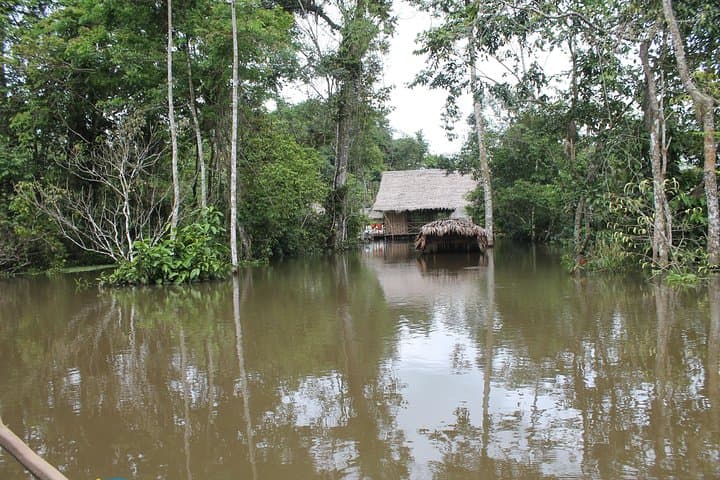 Amazon Untamed Expedition: 3-Day Pacaya Samiria Jungle Adventure photo 2