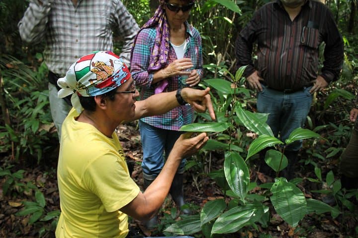 Amazon Untamed Expedition: 3-Day Pacaya Samiria Jungle Adventure
