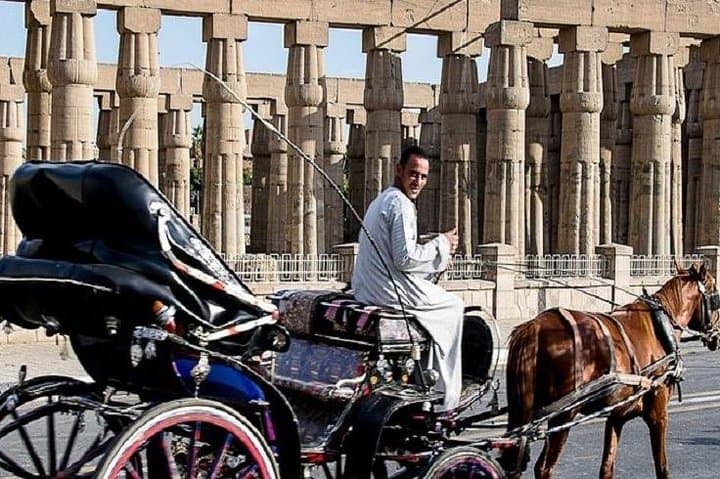Horse Carriage Tour in Luxor: Glide Through Ancient Thebes