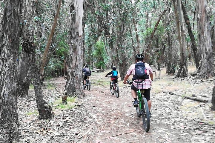 Coastal Rides: Beginner & Intermediate Mountain Bike Tour in Santa Barbara photo 6