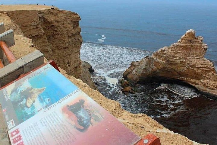Paracas National Reserve Half-Day Tour: Beaches, Cliffs & Wildlife photo 3