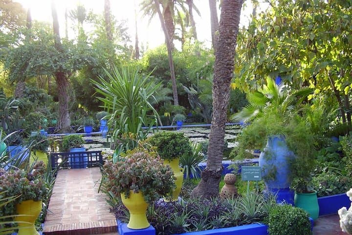 Full-Day Marrakech Gardens Tour: Explore the Gate of Heaven and Historic Green Spaces photo 4