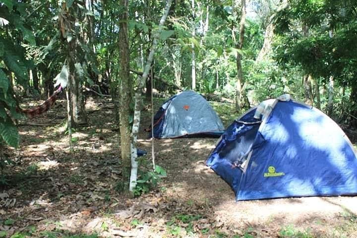 10-Day Dorado Lake Expedition — Pacaya Samiria Amazon Jungle Camping & Wildlife