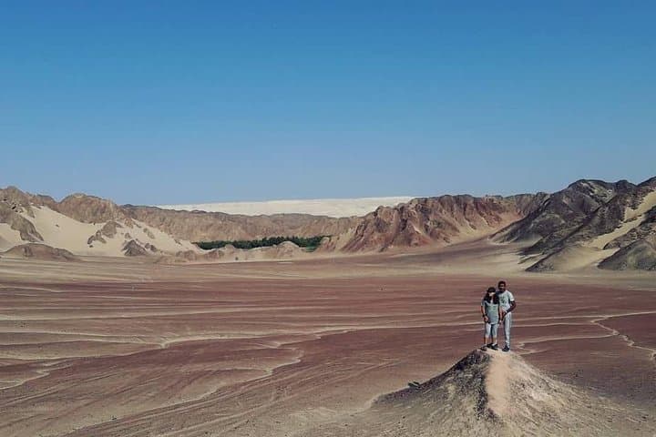 Canyon of the Lost: Ocucaje Fossil Trek and Desert Canyon Ecotour photo 3