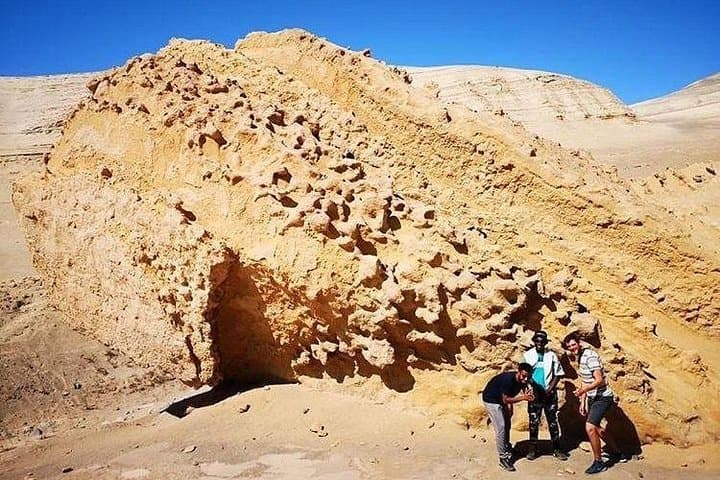 Canyon of the Lost: Ocucaje Fossil Trek and Desert Canyon Ecotour photo 4
